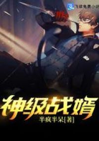 神级战婿