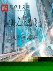 网游之花丛飞盗