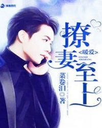 暖爱之撩妻至上