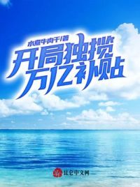 开局独揽万亿补贴