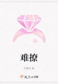 难撩