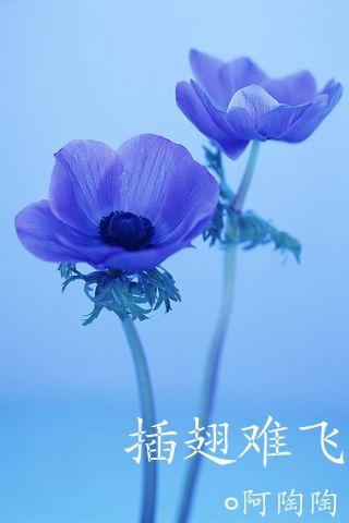 十品潜力武强