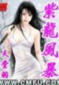 紫龙风暴