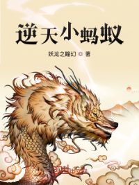 逆天小蚂蚁