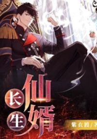 长生仙婿