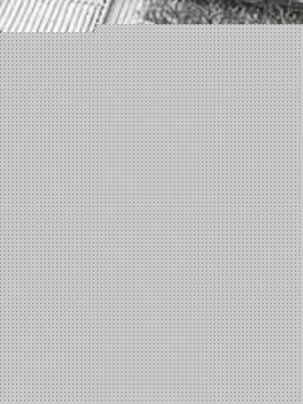 四合院之新的人生