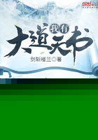 我有大道天书